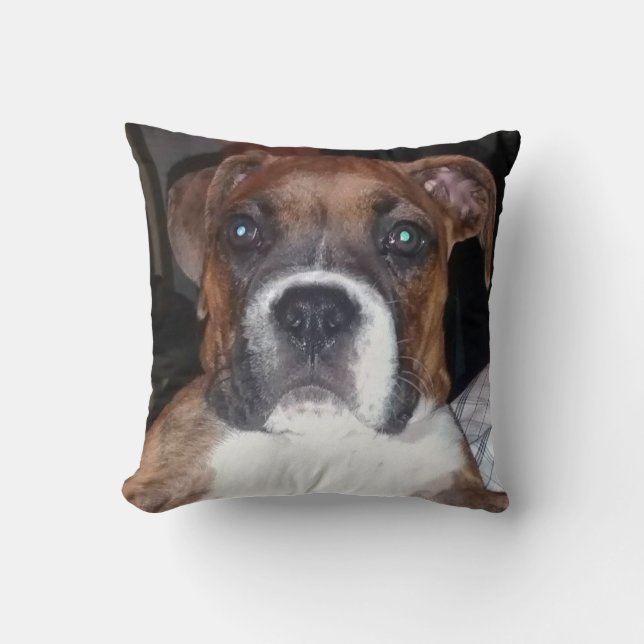 I LOVE BOXERS pillow (Front)