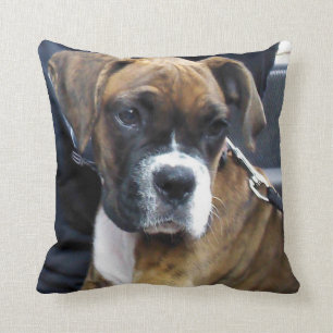 I LOVE BOXERS pillow