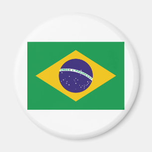 I Love Brazil Magnet