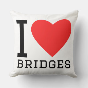 I love bridges cushion