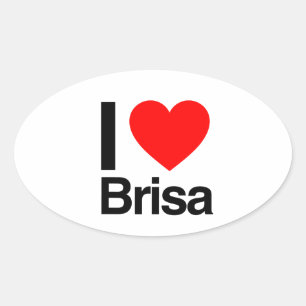 i love brisa oval sticker