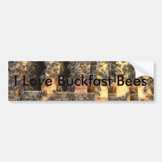 I love buckfast bees bumper sticker (Front)