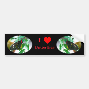 I Love Butterflies Nature  Bumper Sticker