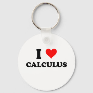 I Love Calculus Key Ring
