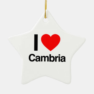 i love cambria ceramic tree decoration