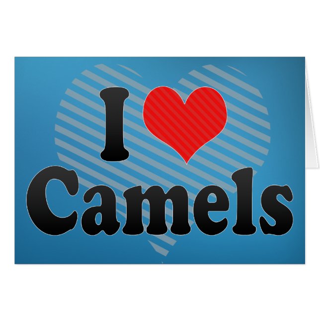 I Love Camels (Front Horizontal)