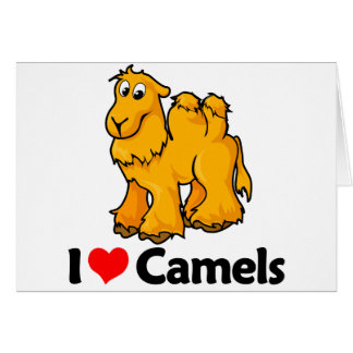 I Love Camels