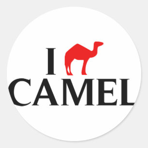 I Love Camels Classic Round Sticker