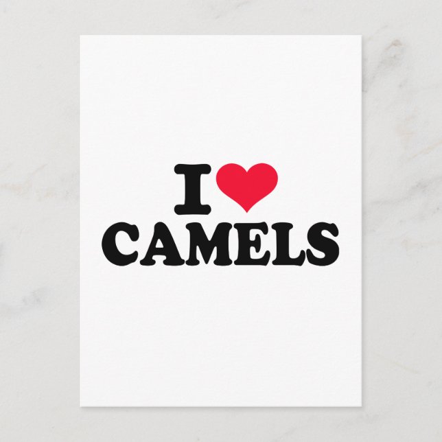 I love camels postcard (Front)