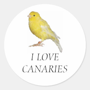 I LOVE CANARIES Stickers