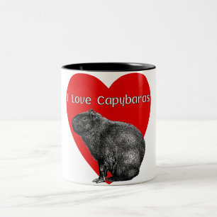 I Love Capybara Mugs