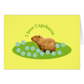 I love Capybaras
