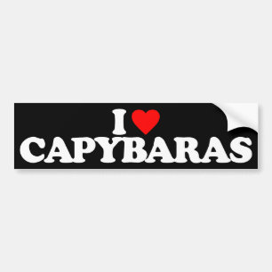 I LOVE CAPYBARAS BUMPER STICKER