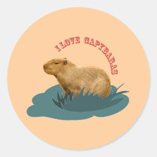 I love capybaras classic round sticker