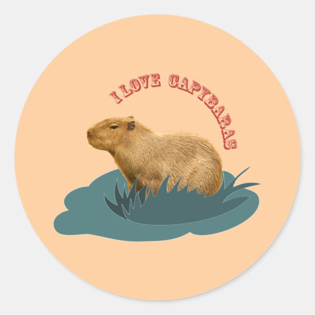 I love capybaras classic round sticker (Front)
