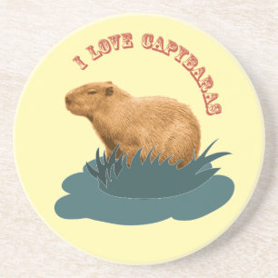 I love Capybaras Coaster