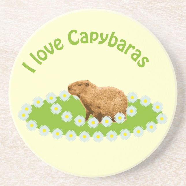 I love Capybaras Coasters (Front)