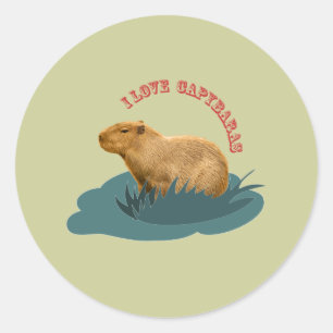 I Love Capybaras Cute Capybara Lover Classic Round Sticker