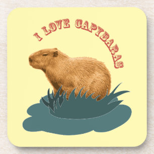 I Love Capybaras Cute Capybara Lover Coaster