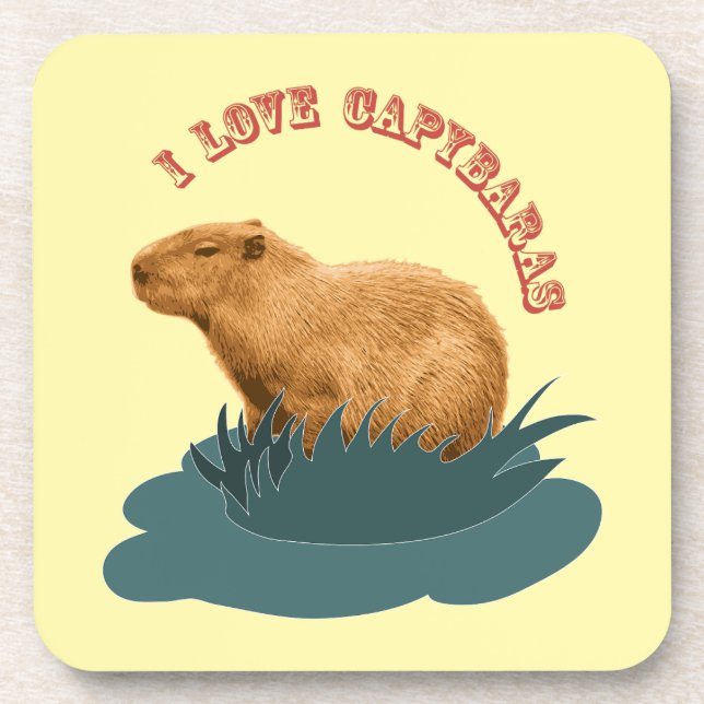 I Love Capybaras Cute Capybara Lover Coaster (Front)