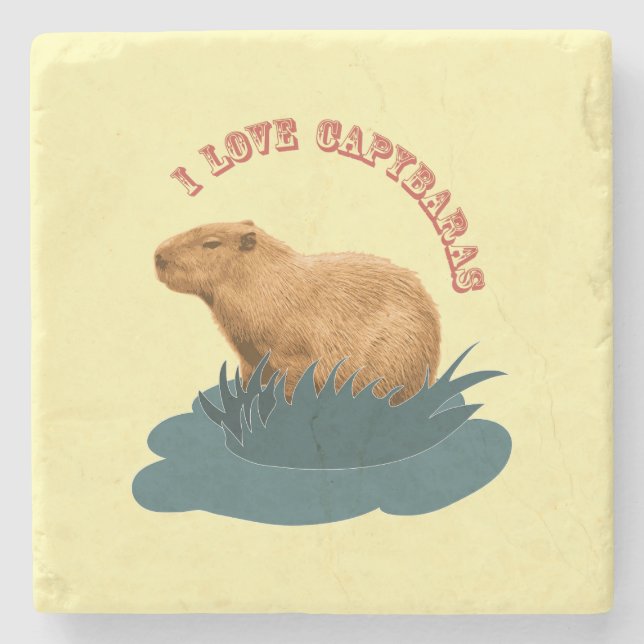 I Love Capybaras Cute Capybara Lover Stone Coaster (Front)