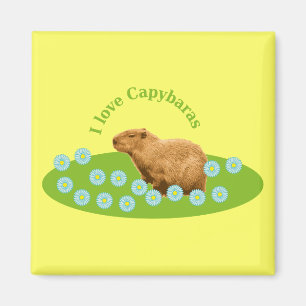 I love Capybaras Magnet