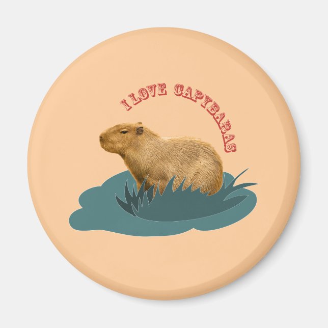 I love capybaras magnet (Front)