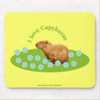 I love Capybaras