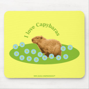 I love Capybaras Mouse Mat