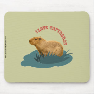 I love capybaras mouse mat