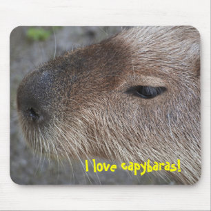I love capybaras mouse mat