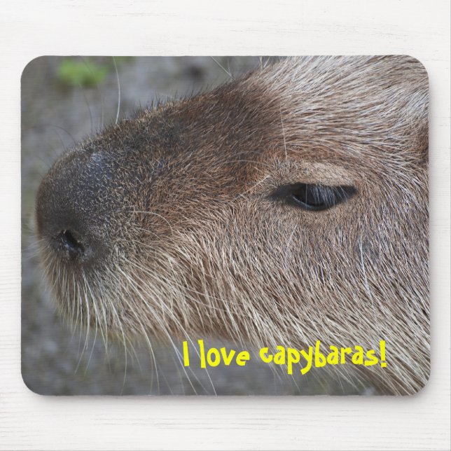 I love capybaras mouse mat (Front)