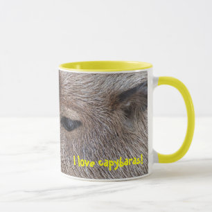 I love capybaras mug