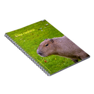 I love capybaras Notebook