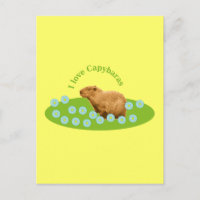 I love Capybaras