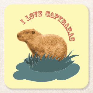 I love Capybaras Square Paper Coaster