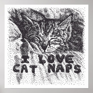 I Love Cat Naps, cat sleeping Poster