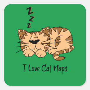 I Love Cat Naps, Square Sticker