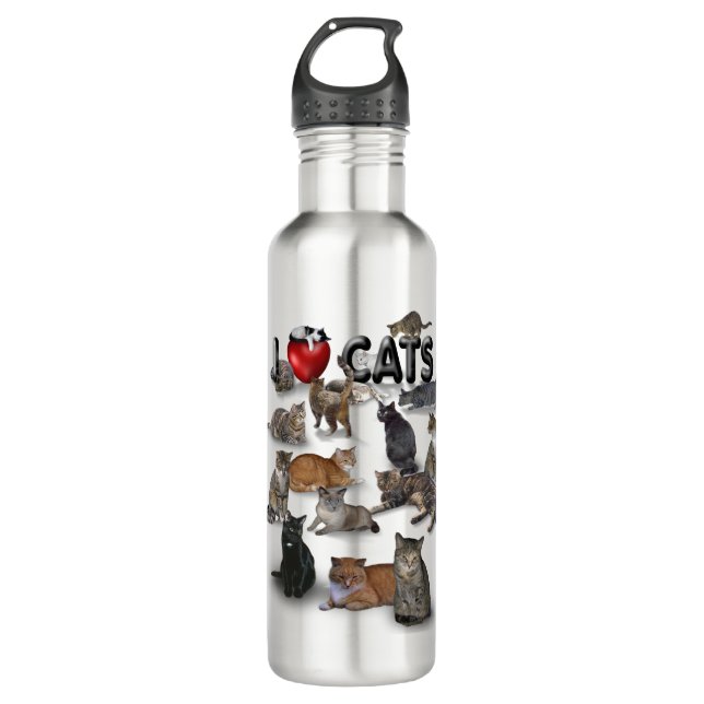 I love Cats 710 Ml Water Bottle (Front)