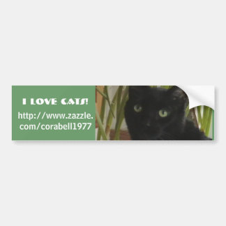 I Love Cats! Bumper Sticker