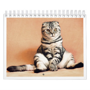 I love cats calendar 2026