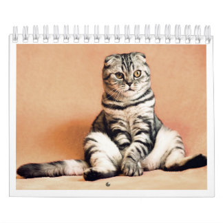 I love cats calendar 2026