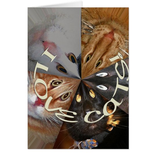 I Love Cats Greeting Card