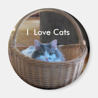 I  Love Cats Magnet