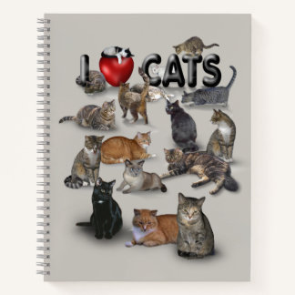 I love Cats 😻 Notebook