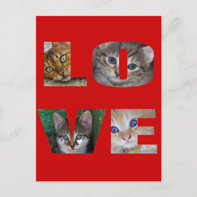 I Love Cats Postcard (Front)