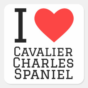I love cavalier Charles spaniel Square Sticker