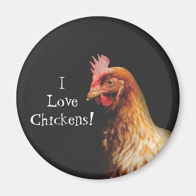 I Love Chickens Magnet (Front)