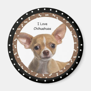 I love Chihuahuas 2 Magnet