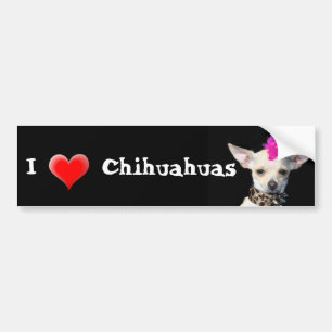 I Love Chihuahuas bumper sticker